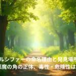 新種の蜂ルシファーの命名理由と発見場所はどこ？悪魔の角の正体、毒性・危険性は？