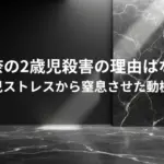 泉玲奈の2歳児殺害の理由はなぜ？育児ストレスから窒息させた動機は