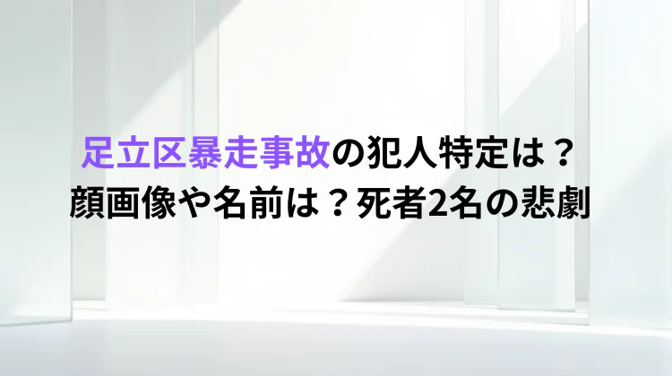 足立区暴走事故の犯人特定は？顔画像や名前は？死者2名の悲劇