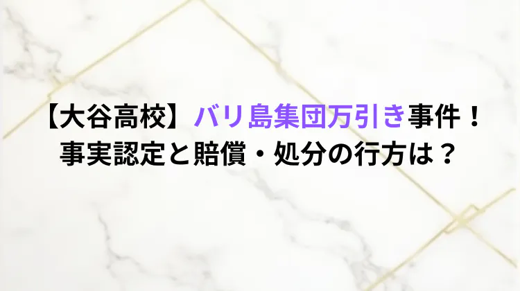 【大谷高校】バリ島集団万引き事件！事実認定と賠償・処分の行方は？