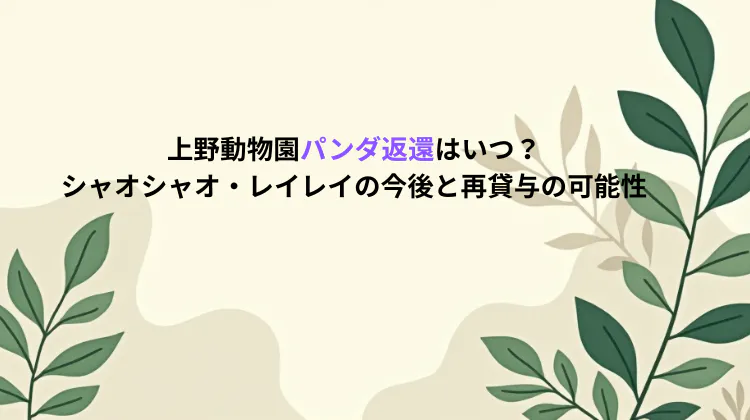 上野動物園パンダ返還はいつ？シャオシャオ・レイレイの今後と再貸与の可能性