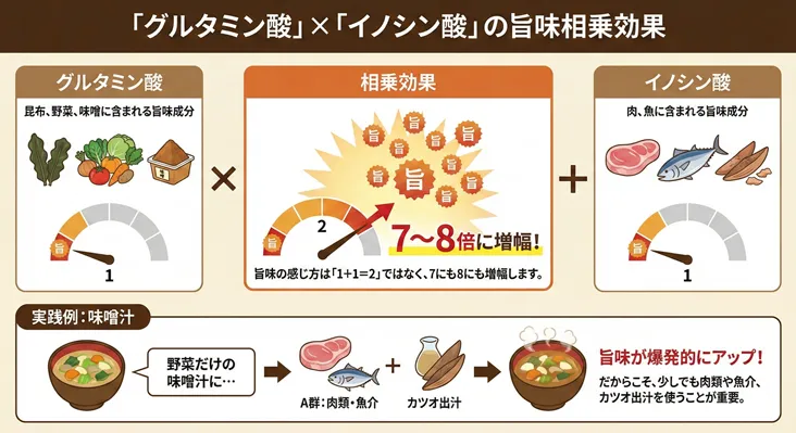 グルタミン酸(昆布・野菜)とイノシン酸(肉・魚)の組み合わせによる「旨味の相乗効果」の解説図。単体では1の旨味が、掛け合わせることで7〜8倍に増幅する仕組みを、味噌汁の実践例(カツオ出汁の活用)と共に紹介。