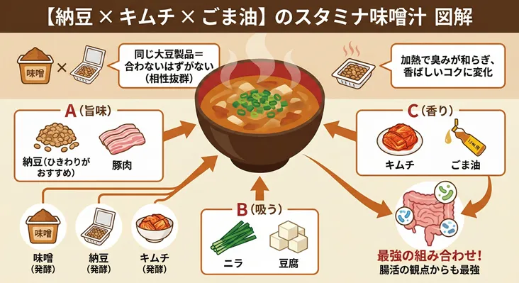 納豆・キムチ・ごま油を組み合わせた「スタミナ味噌汁」のレシピ図解。旨味(ひきわり納豆・豚肉)、具材(ニラ・豆腐)、香り(キムチ・ごま油)の3要素と、味噌・納豆・キムチの発酵食品による腸活・健康相乗効果を解説したインフォグラフィック。