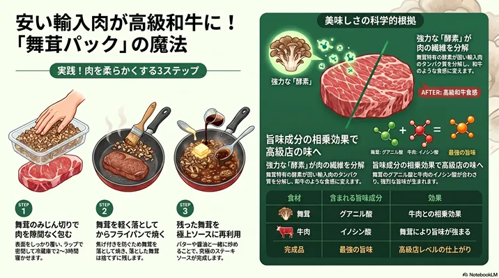 安い輸入牛肉を高級和牛のように柔らかくする「舞茸パック」の解説図。舞茸のみじん切りで肉を包んで焼く実践3ステップと、舞茸の酵素によるタンパク質分解、およびグアニル酸とイノシン酸の相乗効果による旨味アップの科学的根拠を図解しています。