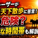 犬の炎天下散歩が危険な理由と安全な時間帯を解説する画像