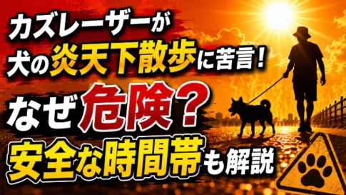 カズレーザーが犬の炎天下散歩に苦言!なぜ危険?安全な時間帯も解説