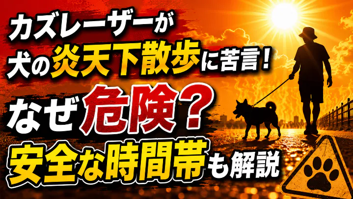 犬の炎天下散歩が危険な理由と安全な時間帯を解説する画像